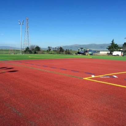 Artificial Turf in Fifth Street, Texas