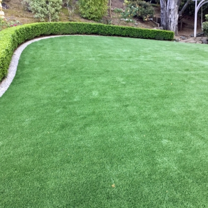 Synthetic Turf in Redwater, Texas