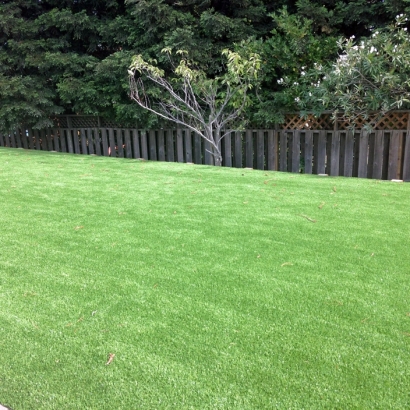 Artificial Turf in Itasca, Texas