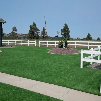 Synthetic Turf: Resources in Leona, Texas
