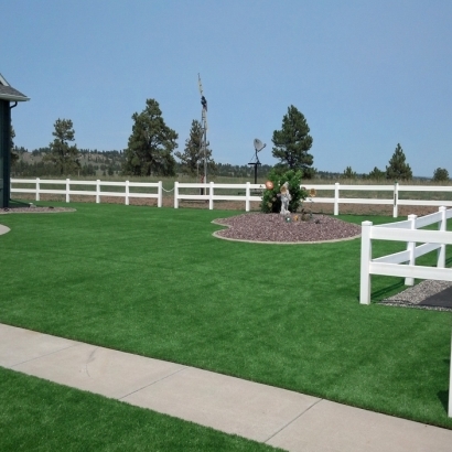 Artificial Turf in Latexo, Texas