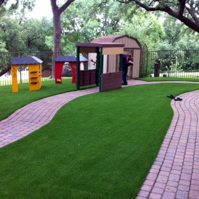 Fake Grass in Salado, Texas