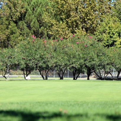 At Home Putting Greens & Synthetic Grass in Fayetteville, Texas