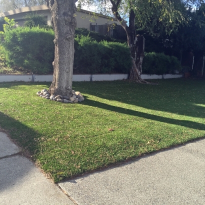 Backyard Putting Greens & Synthetic Lawn in Lewisville, Texas