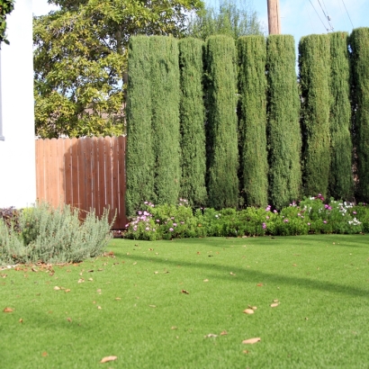 Fake Grass in Sherwood Shores, Texas - Better Than Real