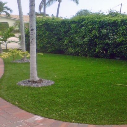 Synthetic Grass in Fairchilds, Texas
