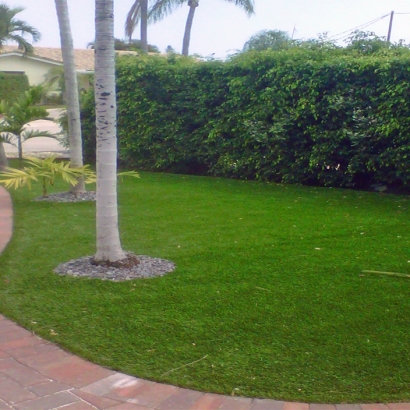 Fake Turf Grass in Rosenberg, Texas