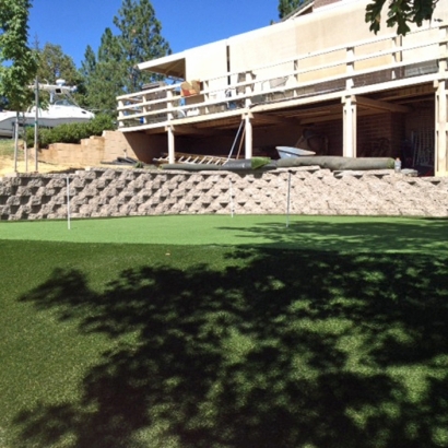 Artificial Turf in K-Bar Ranch, Texas