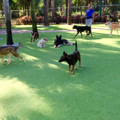 Artificial Turf in Sansom Park, Texas