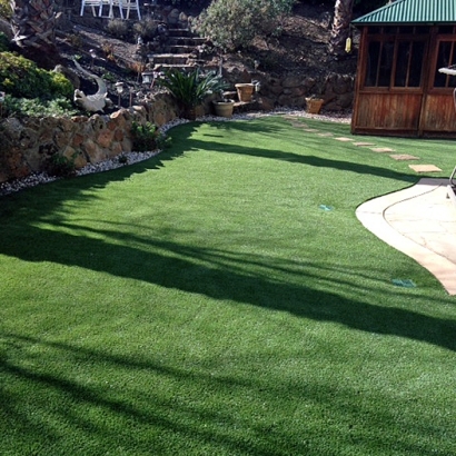 Fake Turf Grass in Irion County, Texas