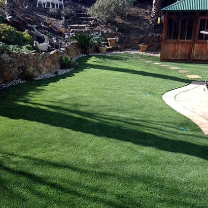 Artificial Turf in Eden, Texas