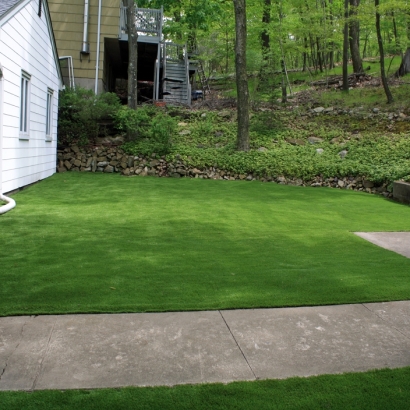 Artificial Turf in Wharton County, Texas