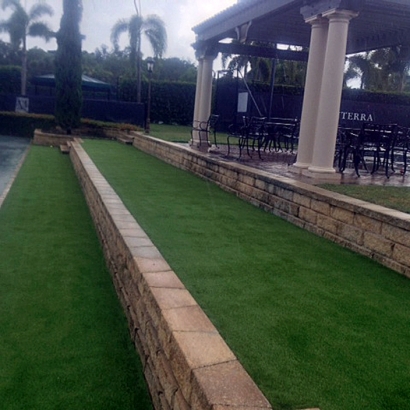 Synthetic Grass in Petersburg, Texas