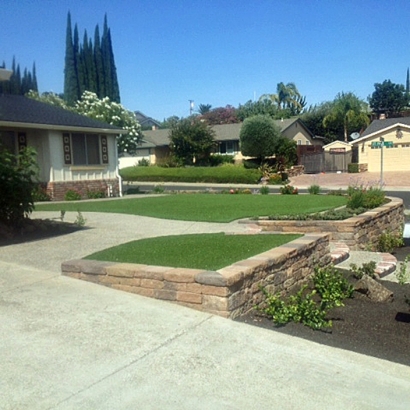 Backyard Putting Greens & Synthetic Lawn in El Cenizo Colonia, Texas