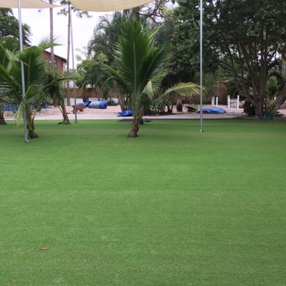 Fake Grass in Jonestown, Texas - Better Than Real