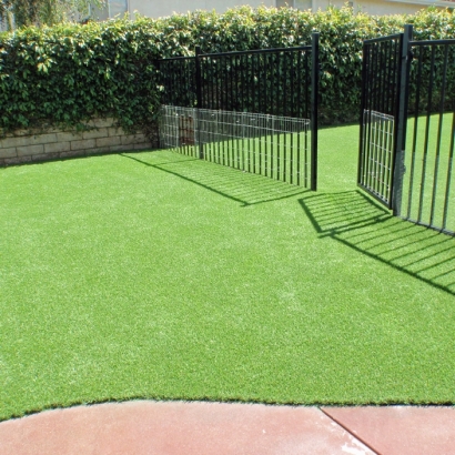 Synthetic Grass & Putting Greens in Beverly, Texas