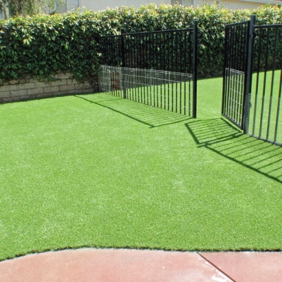 Synthetic Grass in Northcrest, Texas