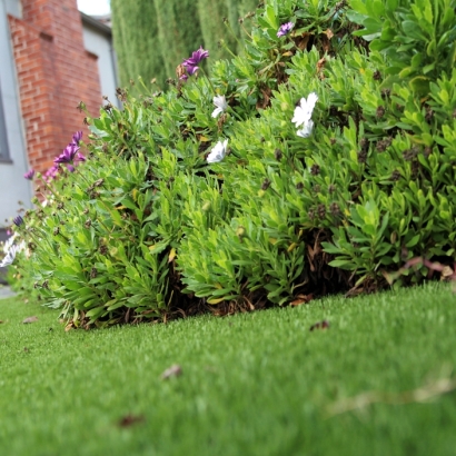 Fake Grass in Saginaw, Texas