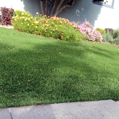 Synthetic Grass in Reklaw, Texas