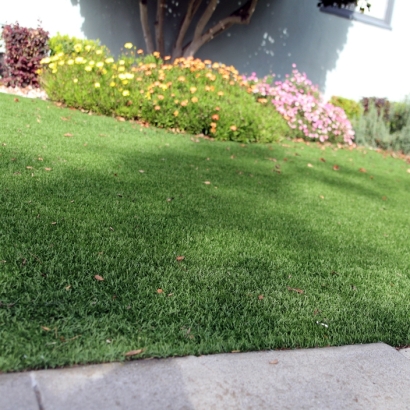 Synthetic Turf in Moore Station, Texas