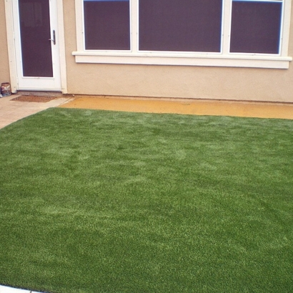 Fake Grass in Kennedale, Texas - Better Than Real