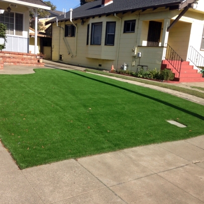 Fake Grass in Atascosa County, Texas