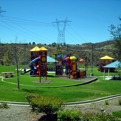 Synthetic Grass in Csar Chvez, Texas