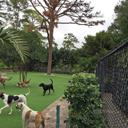 Fake Grass in Goliad County, Texas