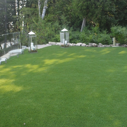 Fake Grass & Synthetic Putting Greens in South Alamo, Texas