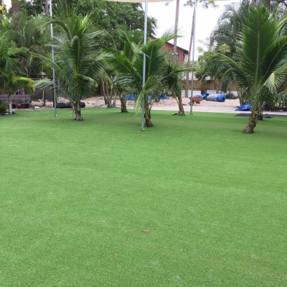 Fake Grass & Synthetic Putting Greens in Anderson Mill, Texas