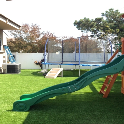 Artificial Grass in Glenn Heights, Texas