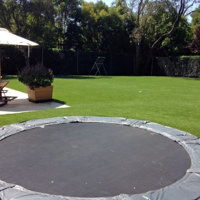 Artificial Grass in Emory, Texas