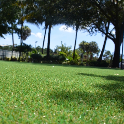 Harker Heights, Texas Grass Artificial