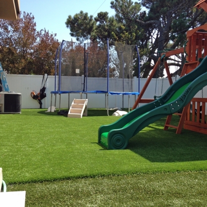 Synthetic Turf in Seagraves, Texas