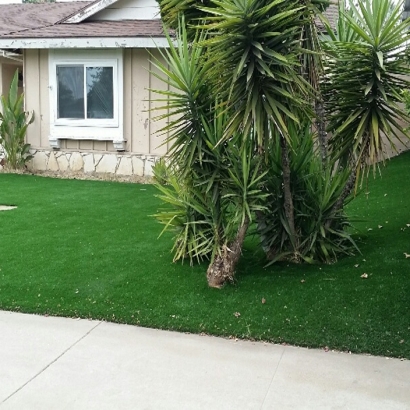 Outdoor Putting Greens & Synthetic Lawn in Anna, Texas