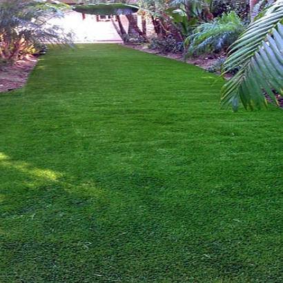 Artificial Turf in Midway South, Texas