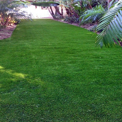 Fake Grass in Midway North, Texas