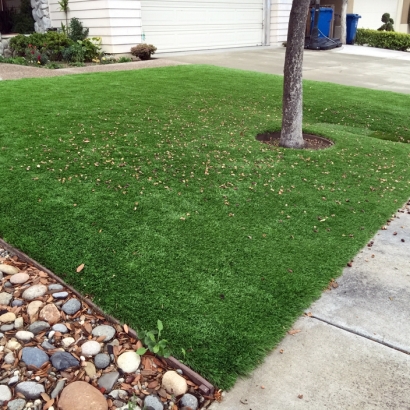 Fake Grass & Putting Greens in Las Colonias, Texas