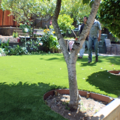 Lawn Services Channelview, Texas Landscaping, Backyards