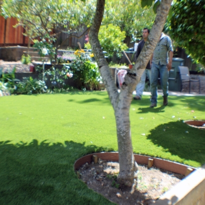 Artificial Grass in Sheldon, Texas