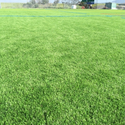 Artificial Grass in Grapevine, Texas