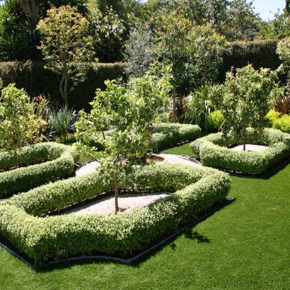 Artificial Grass in Delmita, Texas