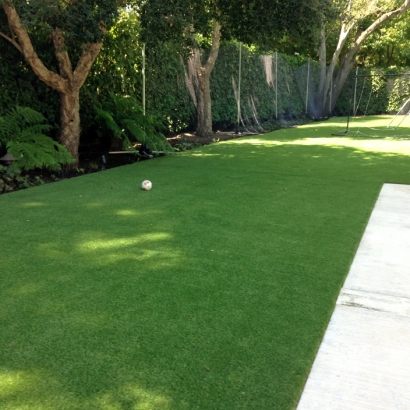 Synthetic Grass in Gorman, Texas