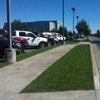 Synthetic Turf Depot in Galveston, Texas