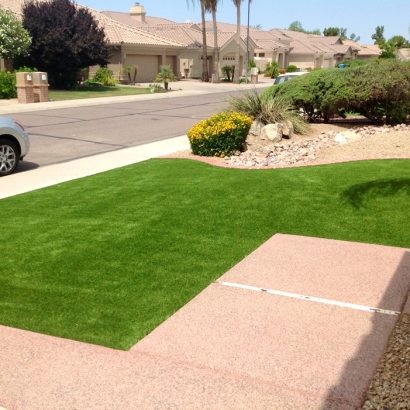 Synthetic Turf in Penitas, Texas