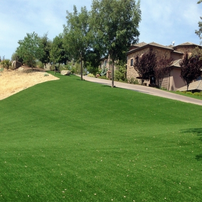 Artificial Turf in Santa Maria, Texas