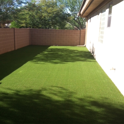 Artificial Grass in Glenn Heights, Texas