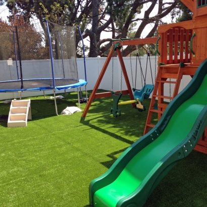 Artificial Turf in Snyder, Texas