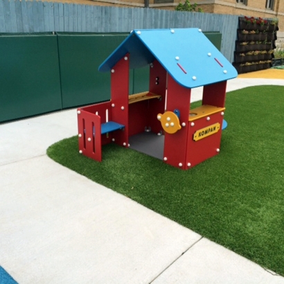 Artificial Grass in Sunnyvale, Texas