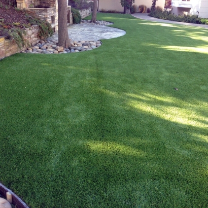 Artificial Grass in Cactus, Texas